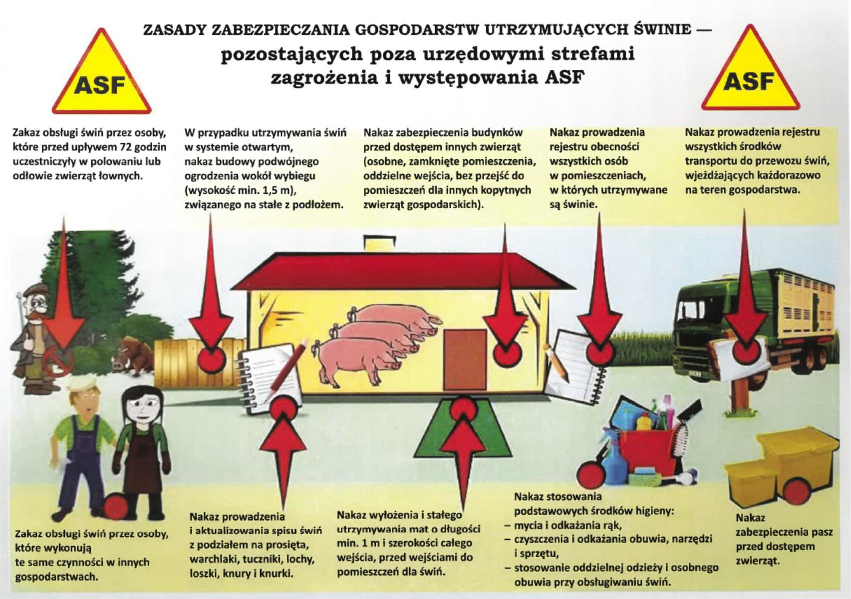 Apel Powiatowego Lekarza Weterynarii do hodowców trzody chlewnej w sprawie ASF